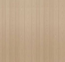 Twinkle House - Sewa Kost - Harian, Mingguan, Bulanan, dan Tahunan - Picture Gallery - Description